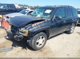 Chevrolet Trailblazer Ls 1GNDS13S972116768 снимка