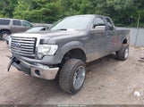 Ford F-150 Fx4/Lariat/Xl/Xlt 1FTFX1EV5AKE76590 fotografie