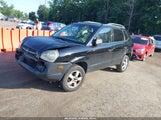 HYUNDAI TUCSON GLS KM8JM12B77U555152 снимка