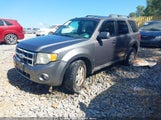FORD ESCAPE XLT 1FMCU0D70AKD16136 fotografie