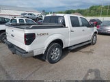 Ford F-150 Fx4/King Ranch/Lariat/Limited/Platinum/Xl/Xlt 1FTFW1ET0EKF44320 photo