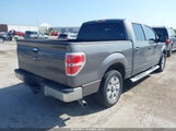 Ford F-150 Fx2 Sport/Harley-Davidson/King Ranch/Lariat/Platinum/Xl/Xlt 1FTFW1CVXAKE20652 photo