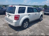 Ford Escape Xlt 1FMCU9D78BKA18438 снимка