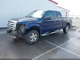 Ford F-150 Xl/Xlt 1FTFW1E80AFA53003 photo