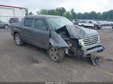 HONDA RIDGELINE RTL 5FPYK1F56DB004834 снимка