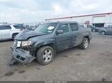 HONDA RIDGELINE RTL 5FPYK1F56DB004834 снимка
