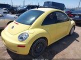 Volkswagen New Beetle 2.5L Final Edition 3VWPW3AG9AM008037 снимка