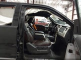 Ford F-150 Fx4/King Ranch/Lariat/Platinum/Xl/Xlt 1FTPW14VX9FA48267 photo
