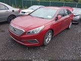 Hyundai Sonata 5NPE24AFXHH501230 снимка