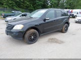 MERCEDES-BENZ ML 350 4MATIC 4JGBB86E56A065882 снимка