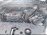 HONDA CR-V SE 5J6RE4H48BL001397 снимка