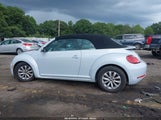 Volkswagen Beetle #Pinkbeetle/1.8T Classic/1.8T S/1.8T Se/1.8T Sel 3VW517AT3HM807347 fotografie