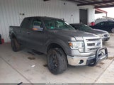 FORD F-150 XLT 1FTFW1ET9DKD23068 снимка