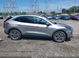 Ford Escape Sel 1FMCU0H60MUA52121 снимка