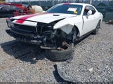 Dodge Challenger Rallye Redline 2C3CDYAG9DH511028 снимка