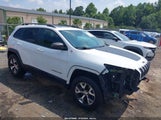 JEEP CHEROKEE TRAILHAWK 1C4PJMBS2EW239894 снимка