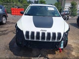 JEEP CHEROKEE TRAILHAWK 1C4PJMBS2EW239894 fotografie