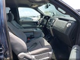 Ford F-150 Xlt 1FTFW1EF4DKF41252 снимка