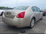 Nissan Maxima 3.5 Sl 1N4BA41E06C825069 снимка