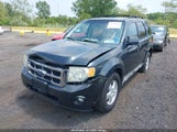 Ford Escape Xlt 1FMCU93G39KB28146 снимка