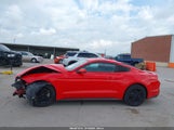 Ford Mustang Ecoboost Fastback 1FA6P8TH9L5175737 снимка