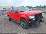 FORD F-150 FX2 1FTFX1CT4BKD43306 снимка