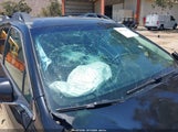 Subaru Outback Premium 4S4BTAFC1M3164803 снимка