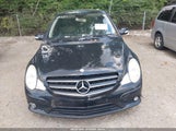 MERCEDES-BENZ R 350 4MATIC 4JGCB65E29A095520 photo