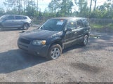 FORD ESCAPE XLT/XLT SPORT 1FMYU93186KD24435 photo