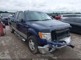 Ford F-150 Lariat/Xl/Xlt 1FTRX12V39FB06468 fotografie