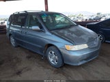 HONDA ODYSSEY EX 2HKRL1869XH527660 снимка