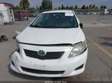 TOYOTA COROLLA LE 2T1BU4EE5AC428694 снимка