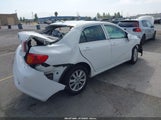 TOYOTA COROLLA LE 2T1BU4EE5AC428694 снимка