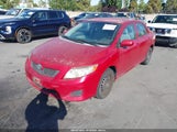 Toyota Corolla Le 1NXBU4EE5AZ307498 снимка