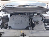 Kia Telluride Ex 5XYP3DGC1RG499816 снимка