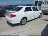 TOYOTA COROLLA LE/S/XLE 1NXBU40E19Z104837 fotografie