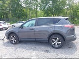 Toyota Rav4 Xle 2T3WFREV0JW410652 снимка