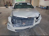 Cadillac Sts Premium Package 1G6DU6EV0A0150675 снимка