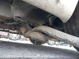 BUICK ENCLAVE 1XL 5GALRBED4AJ181076 снимка