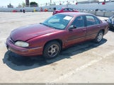 Chevrolet Lumina Taxi 2G1WL52M2V9174267 fotografie