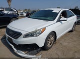 Hyundai Sonata Eco 5NPE24AA8FH192942 снимка