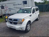 Dodge Nitro Se 1D8GU28K59W513566 photo