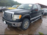 FORD F-150 XLT 1FTFW1EF2BFA37353 снимка