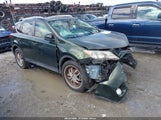 Toyota Rav4 Xle JTMWFREV4D5007270 photo