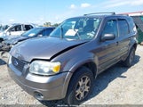 Ford Escape Limited 1FMYU94105KA44005 снимка