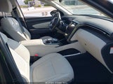 Hyundai Tucson Hybrid Limited KM8JECD17RU228735 fotografie