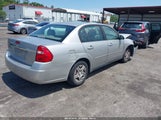 Chevrolet Malibu Classic Ls 1G1ZS58FX8F114192 photo