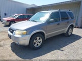 FORD ESCAPE XLT/XLT SPORT 1FMCU93187KA34899 fotografie