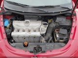 VOLKSWAGEN NEW BEETLE 2.5L 3VWRF31YX9M409836 photo