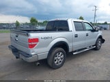 Ford F-150 Xlt 1FTFW1EFXDFD36379 снимка